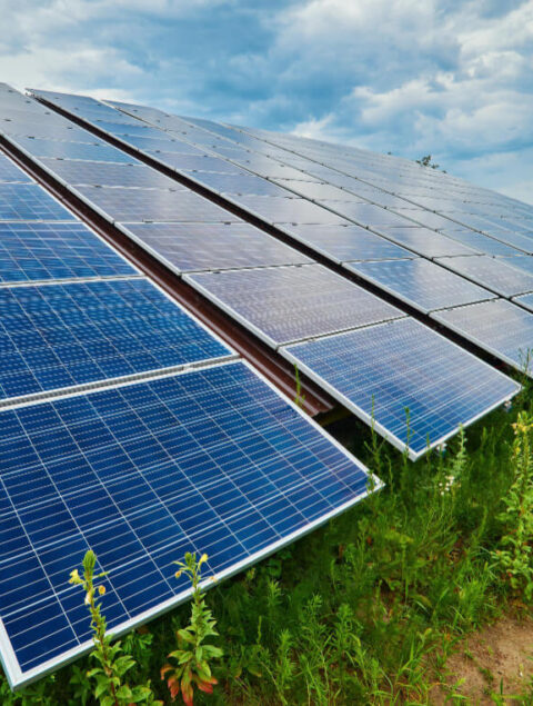 solar-panel-generates-green-electricity (1)